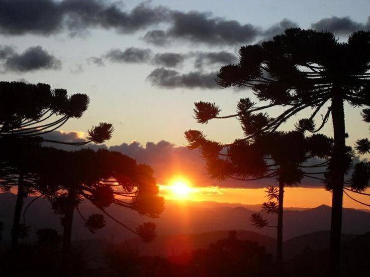Homestay Silverios Da Montanha *